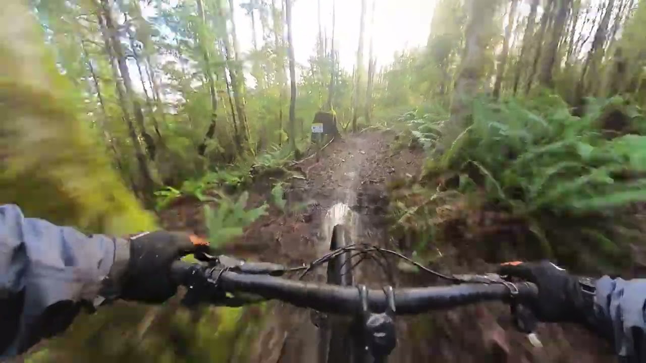 Ferdinand the Bull at Raging River 🐂