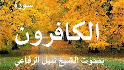 109 سورة الكافرون بصوت نبيل الرفاعي