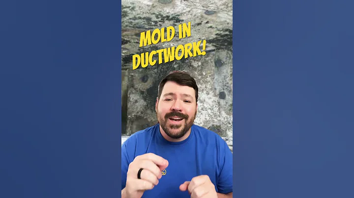 Mold in Ductwork Problem! - DayDayNews