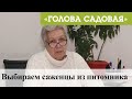 Голова садовая - Выбираем саженцы из питомника