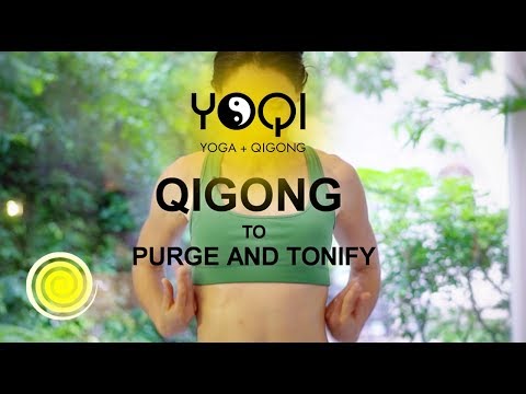 Qigong to Purge and Tonify