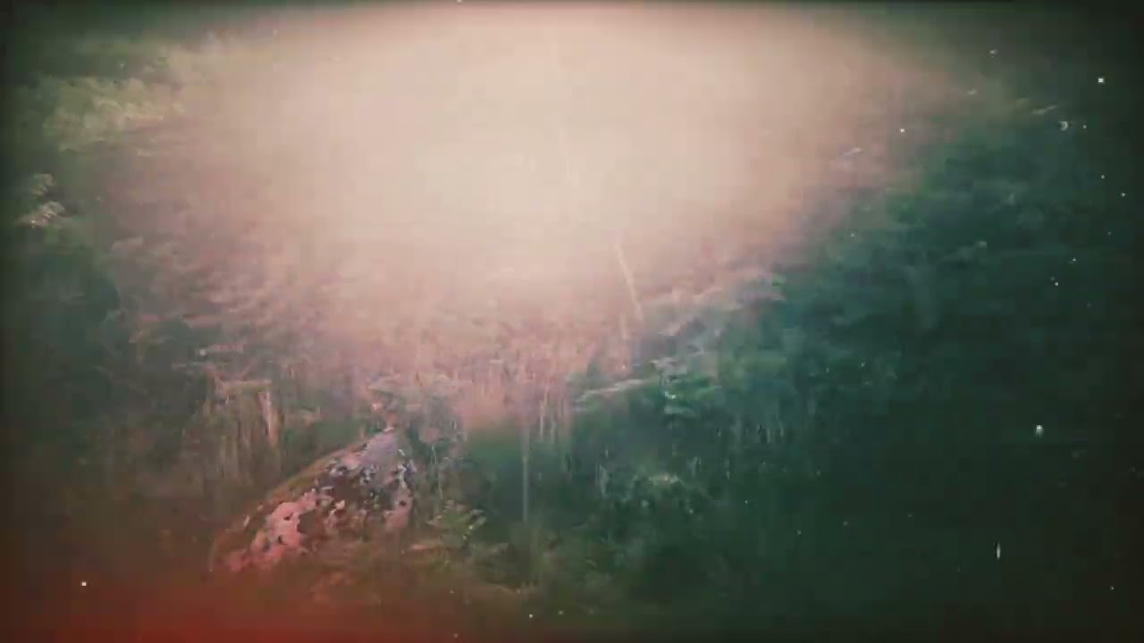 Haiku Salut - The More And Moreness.