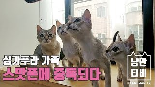 [냥만TV] 스맛폰에 중독된 싱가푸라 가족 by 냥만티비 NMCAT TV 1,561 views 4 years ago 2 minutes, 31 seconds