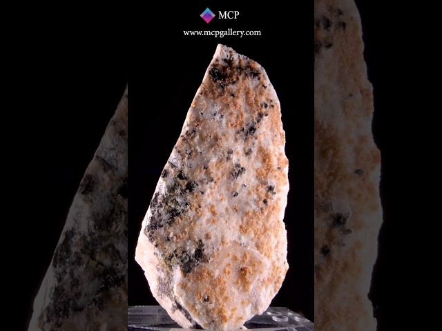 GFS0520 WHITLOCKITE, MONTGOMERYITE - USA #minerals  #crystalshop #gemstone #crystals #gems
