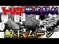 【トリコ】光を呑み込む深海の絶対王者 鯨王 ムーン ゆっくり解説
