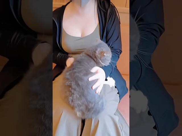 おっきい猫ちゃん♡