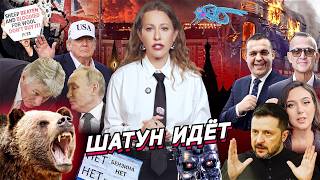 Трамп придумал перемирие, медведи атакуют Россию, конец UK? Скандалы с NAZA и PETA. Разбор новостей