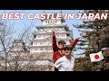 Everything was CLOSED in HIMEJI! Himeji Castle & The Best SUSHI train!