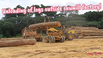 Unloading of logs outside sawmill factory!