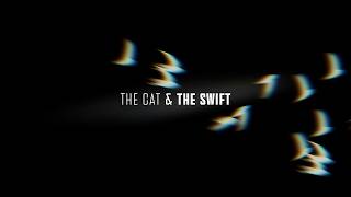 The Cat & The Swift | A short film about community, threatened arts and endangered nature