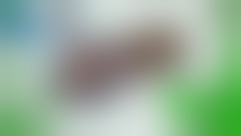 BLOB AMZING 2V2 15% REVERSE!  | BLOB 2V2 WINS