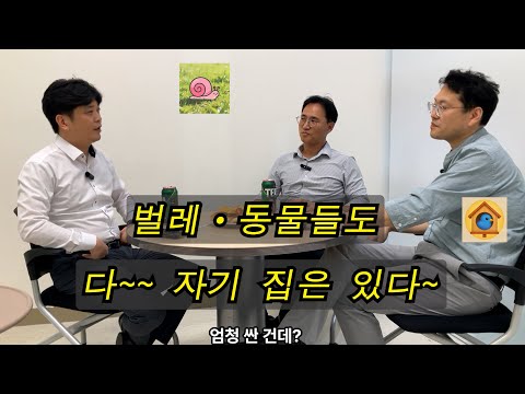이재명 정부 부동산정책 상승 하락 어디로? (하편)