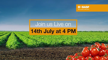 Tomato Talks with BASF