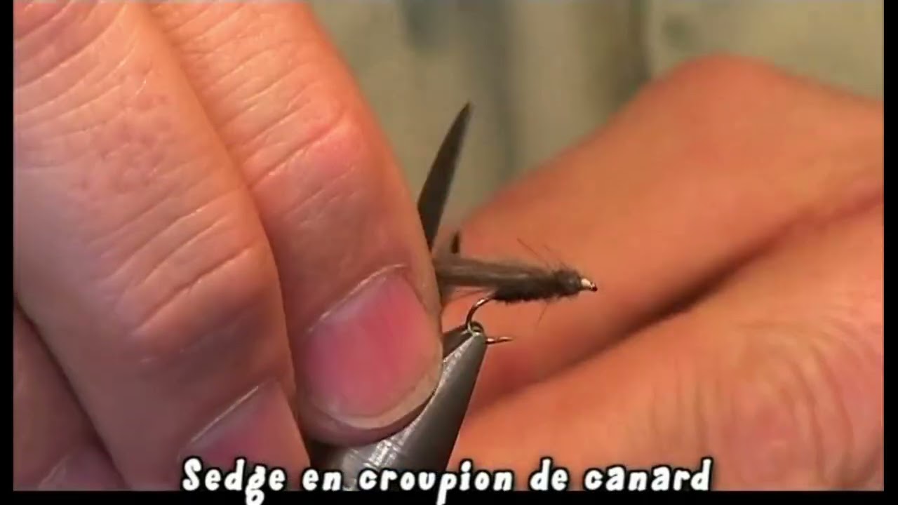 8 mouches suffisent  de Marc Petit Jean