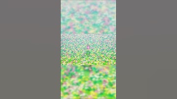 I Knew It | Live A Live Remake Prehistory #shorts