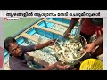 കറിക്കും കൂടി മീനില്ല; ചൂടേറിയതോടെ മത്സ്യം കിട്ടാതായി; കടലിനെയും പൊള്ളിച്ച് ചൂട് | Marine Life