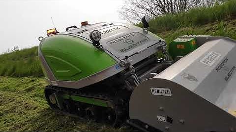 Video Robofox  4 mins No sound Good vision