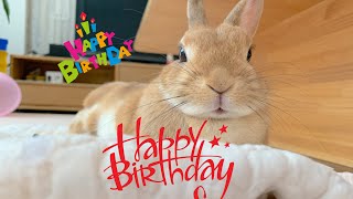 楽しかった4歳の誕生日会！とその後…　#1026