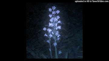 [FREE] AMBIENT LOOP KIT / SAMPLE PACK - "ASTRALIS" (experimental, ambiance)