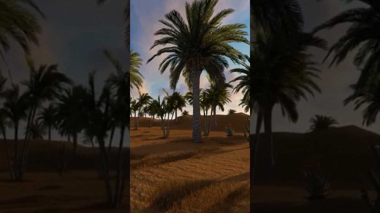 ♥️ Mega Tropical Music Chill Out Mix 