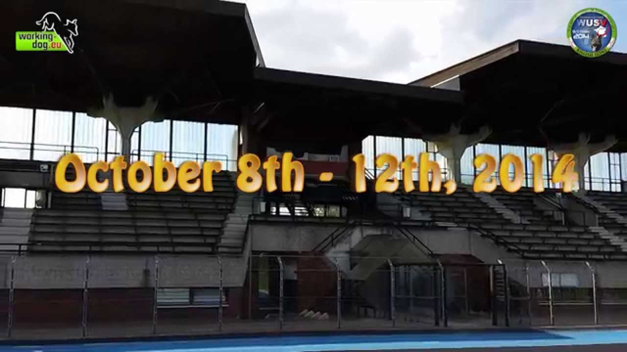 フンデルトヴァッサー 日本 WUSV Worldchampionship 2014 LIVE!!!! Trailer