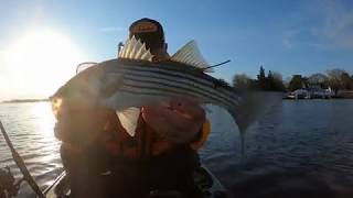Striper with bad tag screenshot 5