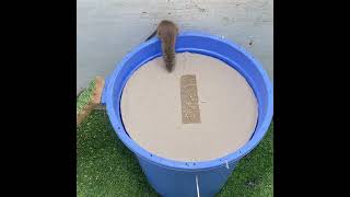 Best Mouse Trap Ideacreative Mousetrap 