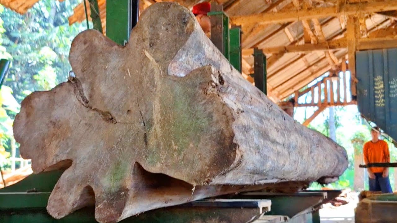 sawing decades-old dry teak logs at the sawmill - YouTube