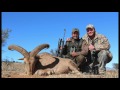 Khalid Barbary Sheep, Common Reedbok, Tsessebe, Livingstone Eland, and White Fallow Hunt