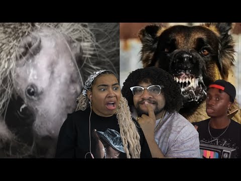 Animal Diseases That Belong In A Horror Movie | Casual Geographic Reaction