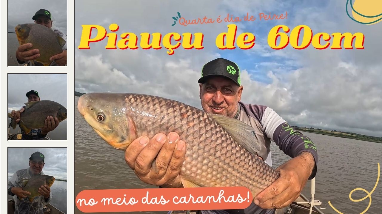 🎣PEGUEI UM PIAUÇU DE 60CM NO MEIO DAS CARANHAS!📏