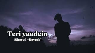 Teri Yaadein - Atif Aslam Slowedreverblofi Remix Slowed And Reverb
