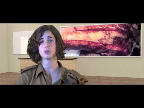 שיעור מצולם - עור, פצעים וכוויות