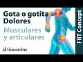 Gota, gotita o pseudogota. Dolores articulares y musculares relacionados.