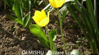 DJ MISHU-Bizzare Love Triangle