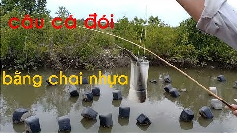 Đọc lạ câu cá đối bằng chai nhựa# và cái kết bất ngờ#(tập 20)