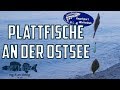 Plattfische aus der Ostsee! - Unterwegs mit den Profis - Fishing Bros. on Tour