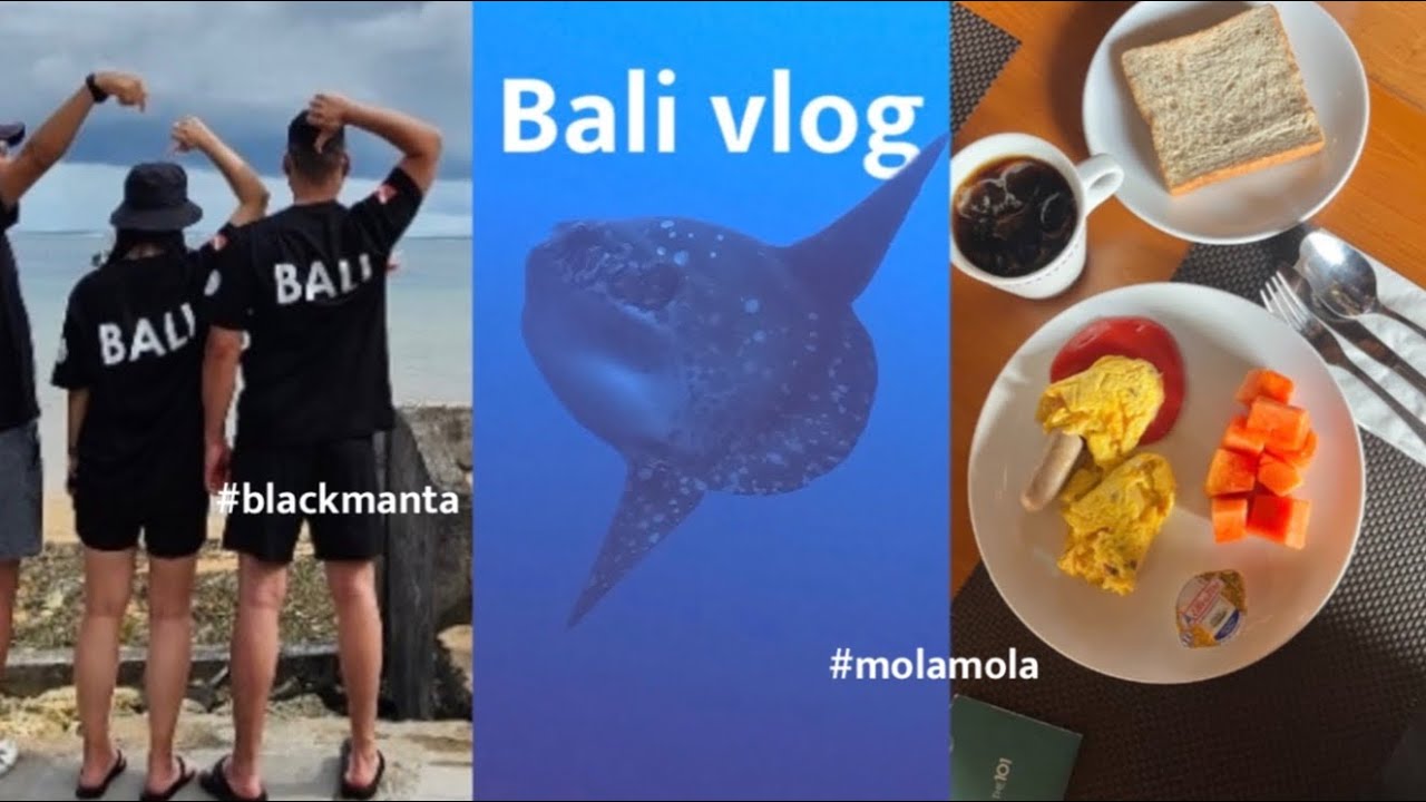 발리 누사페니다에서 몰라몰라 개복치를 만난 다이버들의 흐느낌, Mola mola & Manta ray in Nusa Penida, Bali Scuba diving vlog