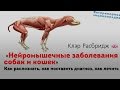 Нейромышечные заболевания собак и кошек. Neuromuscular disease