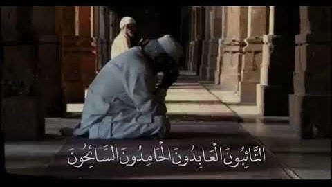 قران كريم بصوت اسلام صبحى💙|حالات واتس اب😍|التائبون العابدون الحامدون السائحون|❤😍  islam sobhi
