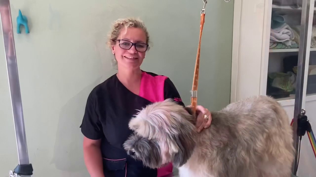 How to trim a dogs nails - YouTube