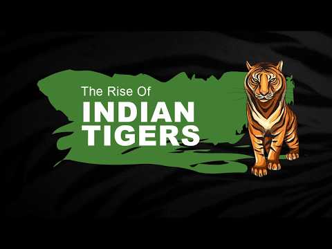 The Rise of Indian Tigers | A Visual Data Story