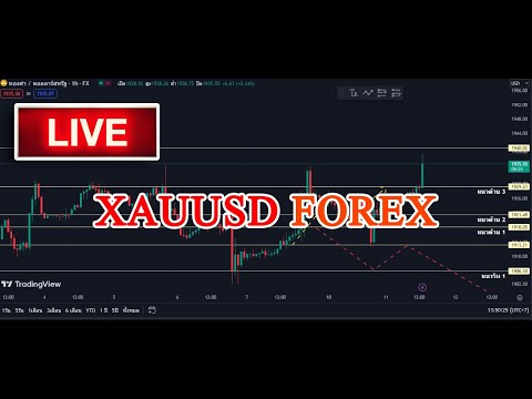 Live เทรดทองคำอย่างไรให้ชนะ??   #mt5 #fbs #forex #XM #gold #ลงทุน #bonus #bitcoin #1000x #exness