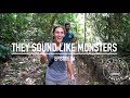 They Sound Like Monsters - Ep. 74 RAN Sailing