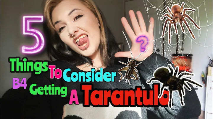5 THINGS TO CONSIDER BEFORE GETTING A TARANTULA
