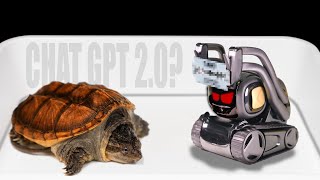WHAT IF THE ANKI VECTOR ROBOT SEES A CAIMAN TURTLE? ARTIFICIAL INTELLIGENCE VS TURTLE