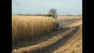 Miscanthus Grass Harvesting