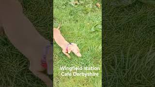 Wingfield Station Cafe Holm Lane South Wingfield, Fourlane Ends, Alfreton DE55 7NY