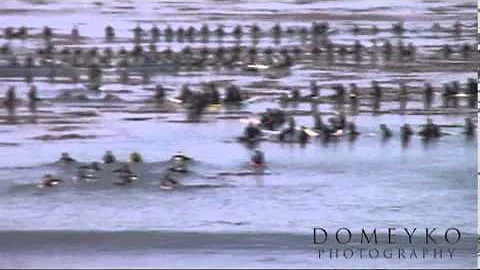 Orignal Funeral Footage Jay Moriarity