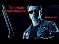 terminator indestructible